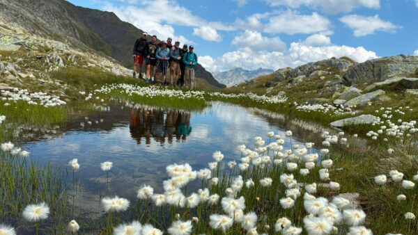 Sieben Wanderer stehen am Ufer eines kleinen Bergsees, umgeben von Wollgras und Bergen unter blauem Himmel